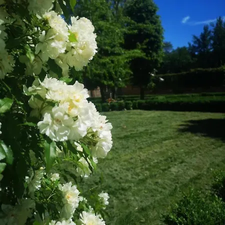 The Convent * Bologne