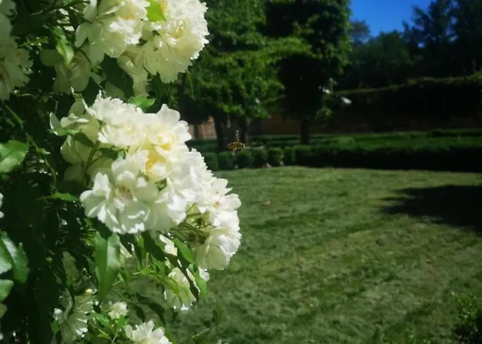 The Convent * Bologna